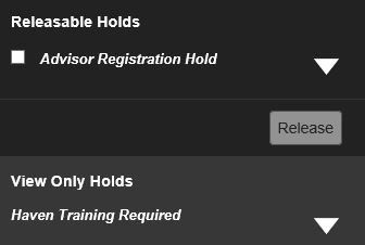 Graphic showing summary of active holds.