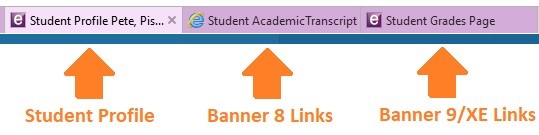Graphic showing how tabs will appear in browser.