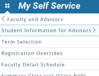 Graphic showing Student Information for Advisors.