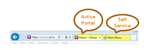 Graphic showing what browser looks like with Portal tabs.