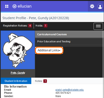 Graphic showing location of Additional Links in mobile version.