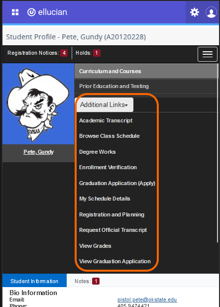 Graphic showing details under Additional Links in mobile version.