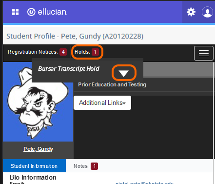 Graphic showing mobile version of active Holds.