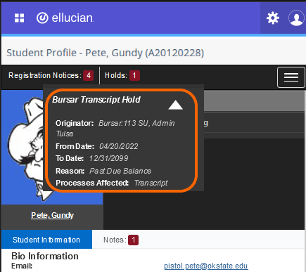 Graphic showing additional information for active holds.