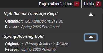 Graphic showing web version of additional details.