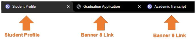 Graphic showing tabs along the top of browser.