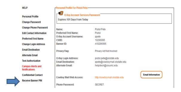 Graphic showing location of where to request Banner PIN.