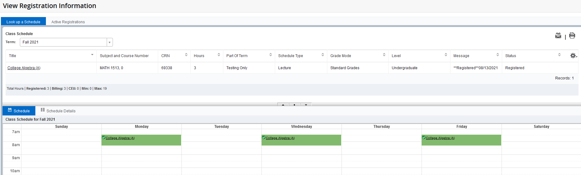 Graphic showing Schedule Details tab.