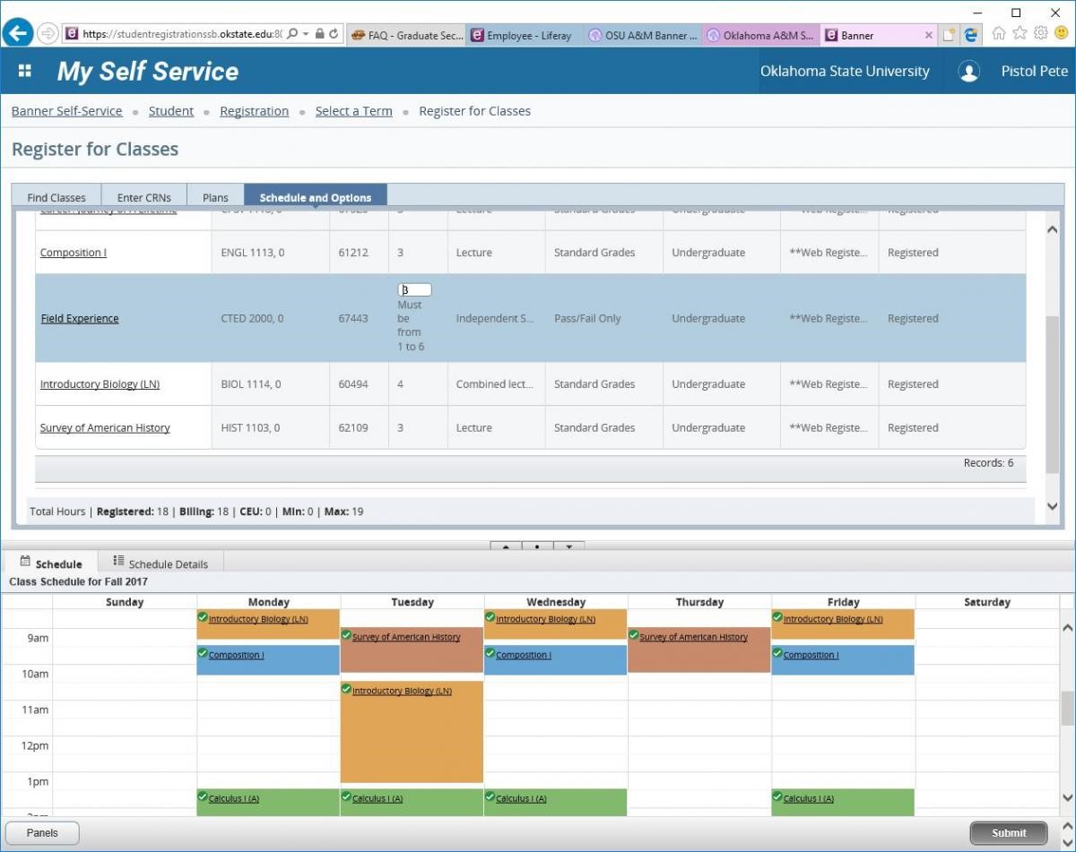 Graphic showing Schedule and Options tab contents.