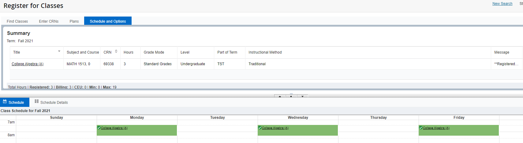 Graphic showing Schedule and Options tab on Register for Classes screen.